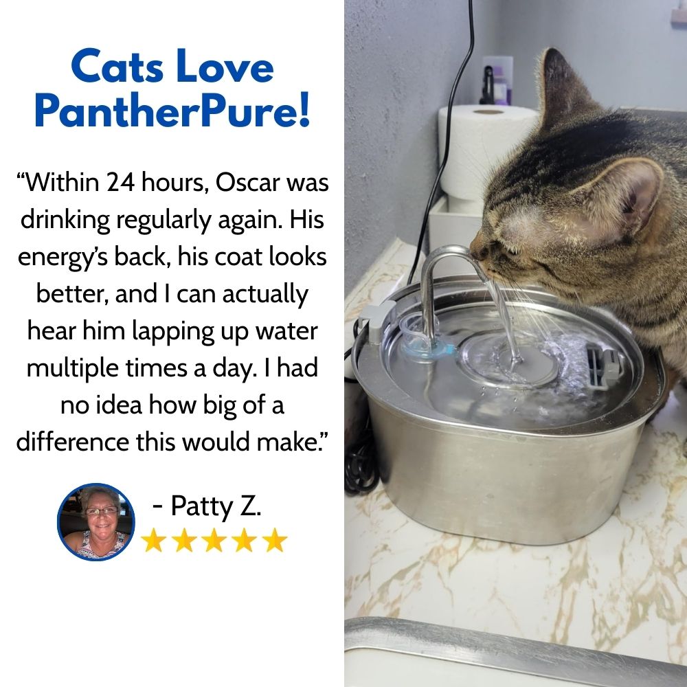 The PantherPure™ Premium Stainless Steel Water Fountain