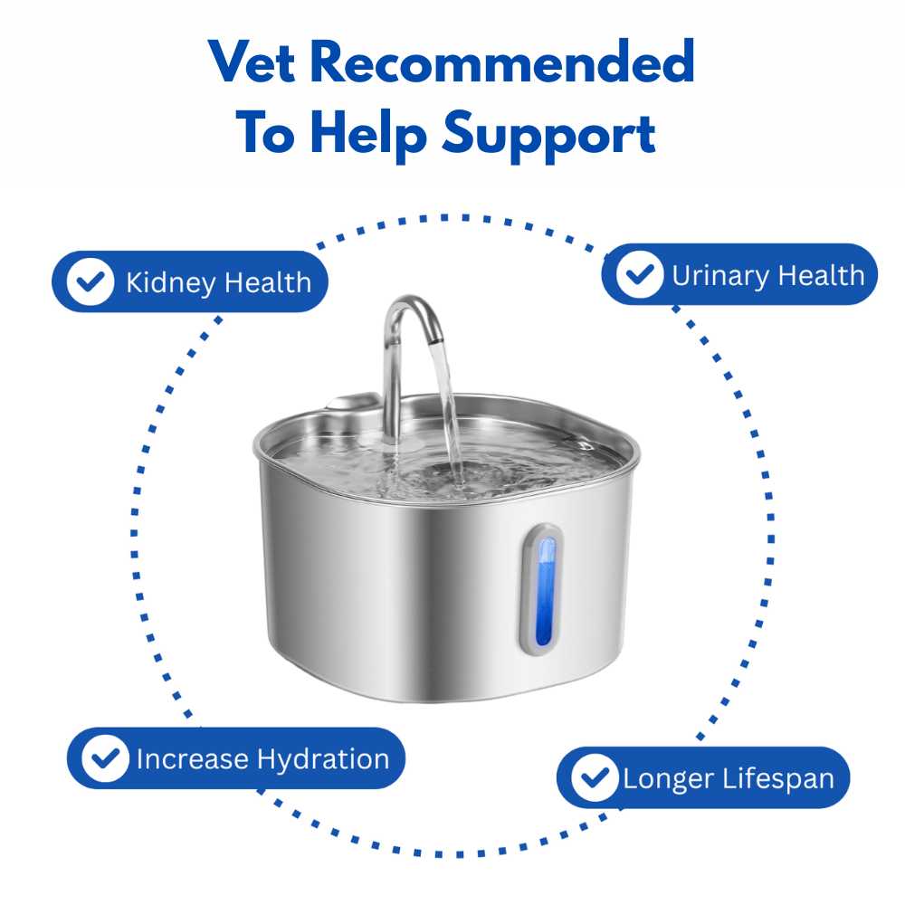 PantherPure™ Premium Stainless Steel Water Fountain