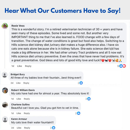 The PantherPure™ Premium Stainless Steel Water Fountain