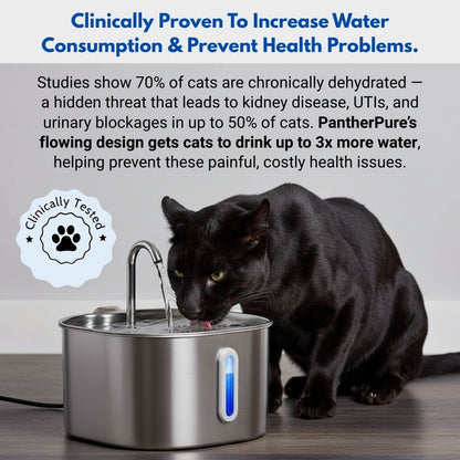 The PantherPure™ Premium Stainless Steel Water Fountain