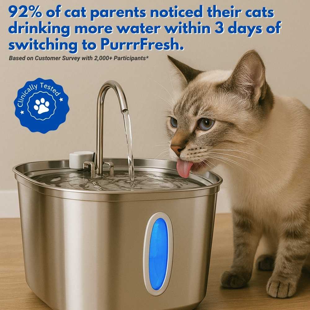 PantherPure™ Premium Stainless Steel Water Fountain