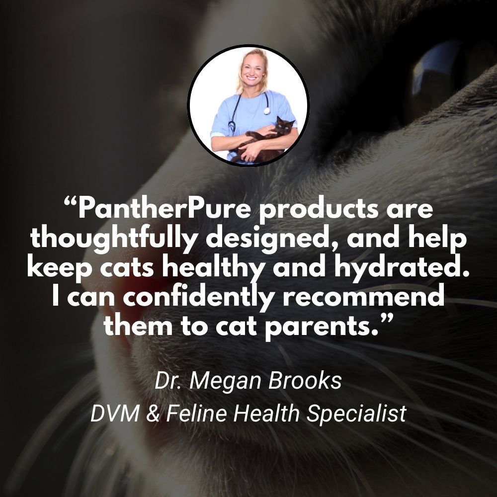 The PantherPure™ Premium Stainless Steel Water Fountain