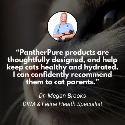 The PantherPure™ Premium Stainless Steel Water Fountain