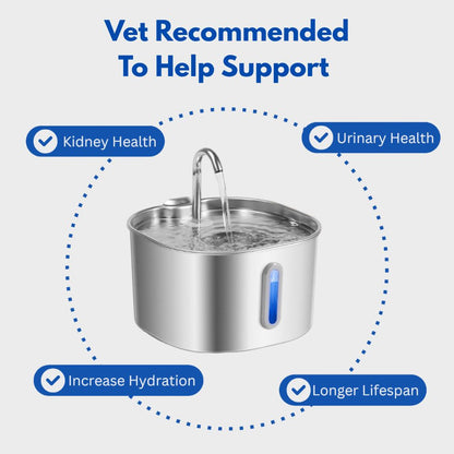 The PantherPure™ Premium Stainless Steel Water Fountain