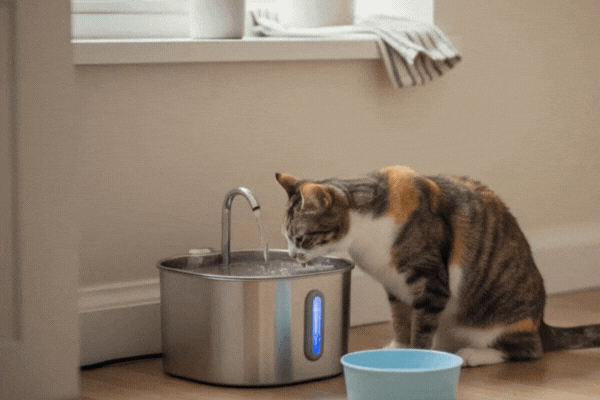 Advertorial content panther pure (3).gif__PID:b2eee894-3073-451a-a0d2-6e54d1c52280