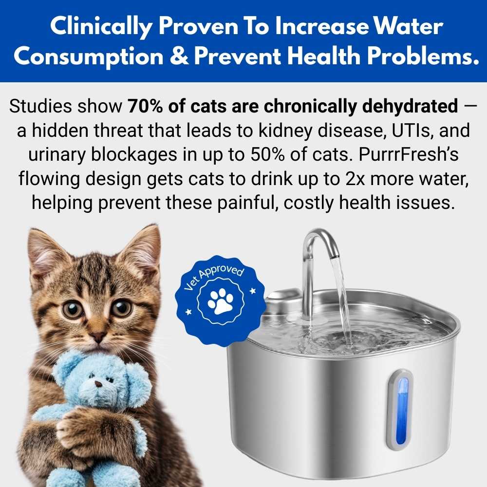 PantherPure™ Premium Stainless Steel Water Fountain