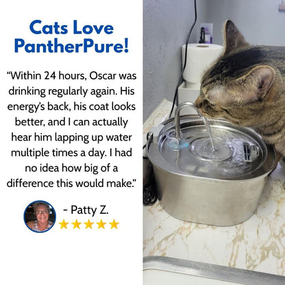The PantherPure™ Premium Stainless Steel Water Fountain